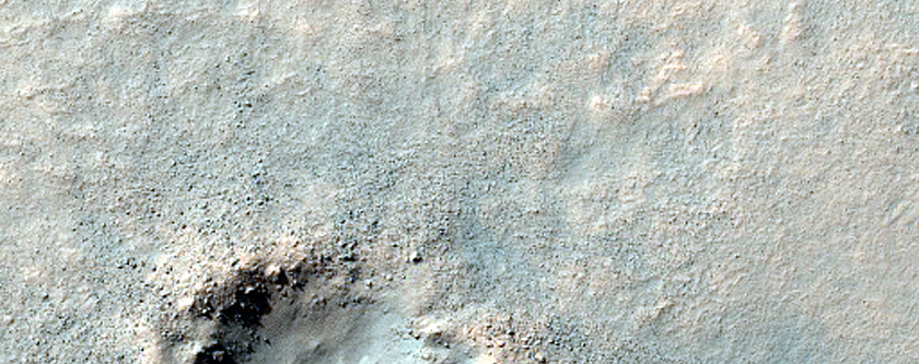 Monitoring Dust Devil Tracks