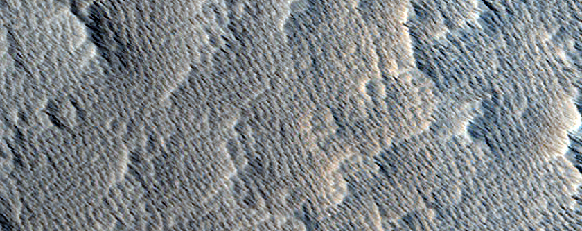 Terrain Sample