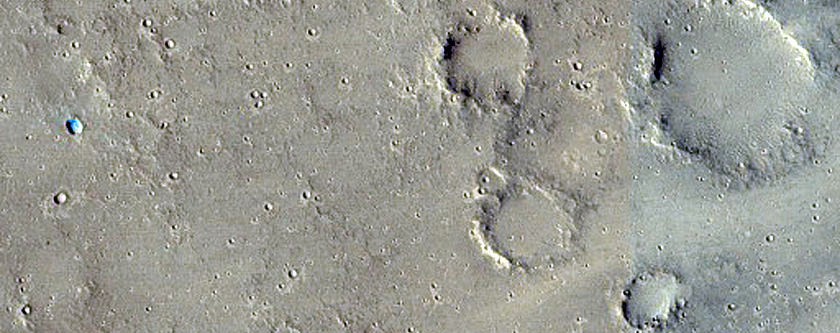 Thermally Distinct Material in Elysium Planitia