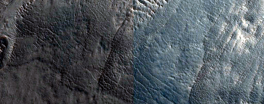 Gully Monitoring