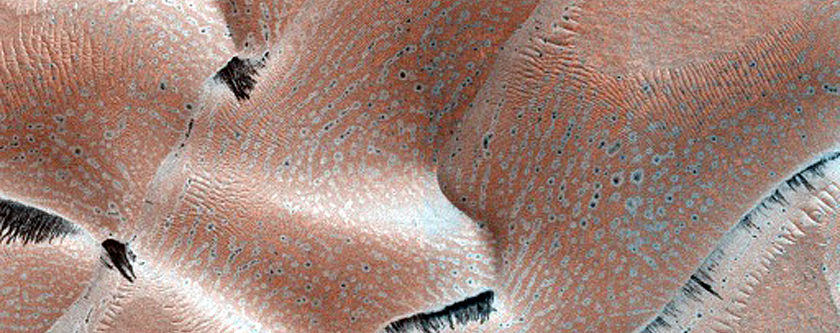 Dune Monitoring in Crater