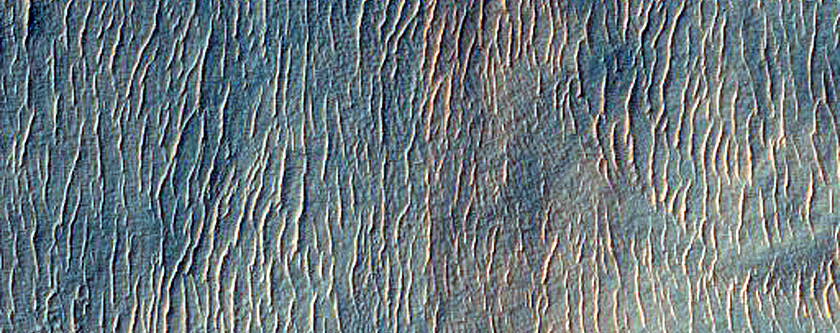 Gullies on Crater Wall