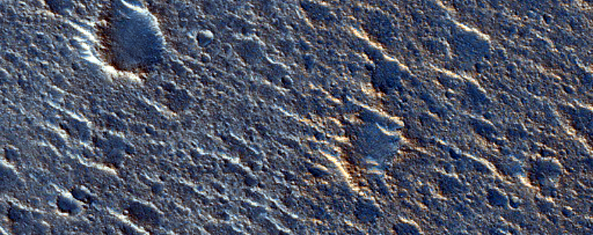 Terrain Sample