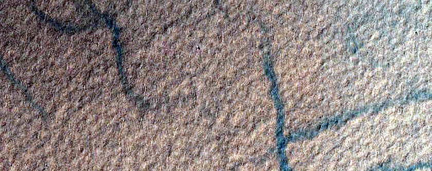 Gully Monitoring