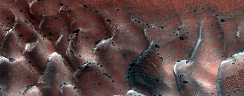 Dune Monitoring in Crater