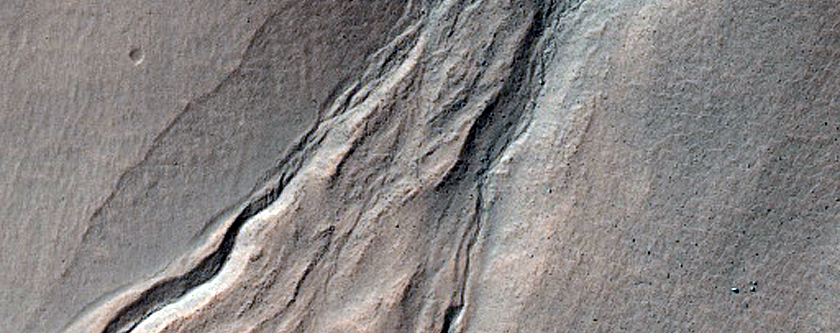 Gully Monitoring