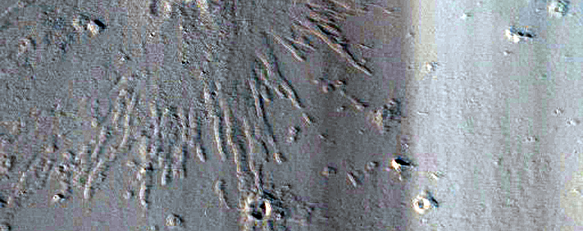 Candidate Recent Impact Site