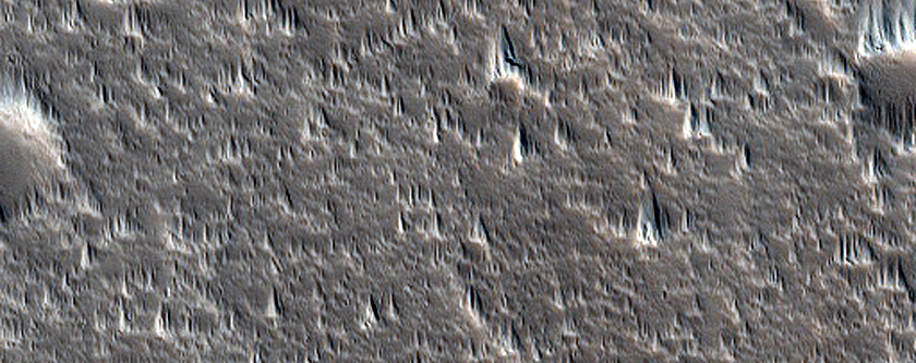 Northern Flank of Alba Mons