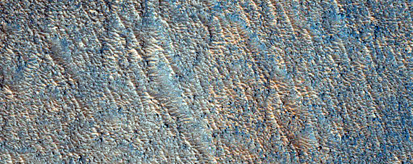 Albedo Monitoring near Phlegra Montes and Diacria Region
