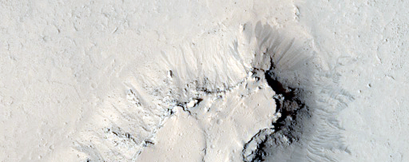 Enigmatic Terrain in Southern Elysium Planitia