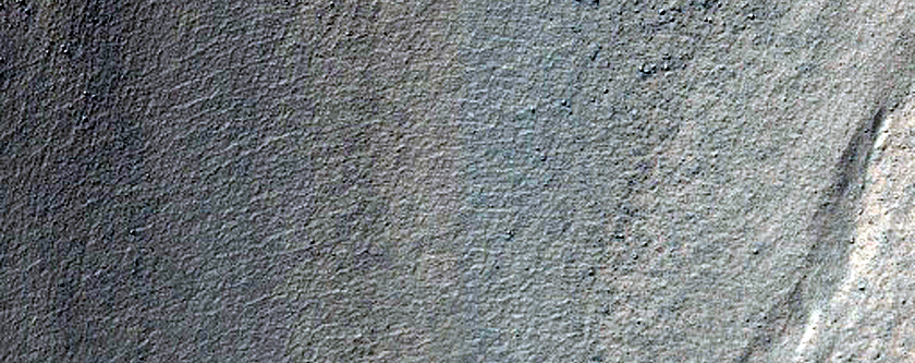 Very Fresh Gullied and Mantled Crater