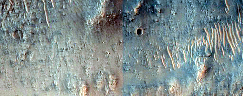 Gullies in Depression in Terra Sirenum