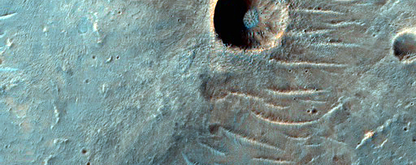 Phyllosilicate-Rich Crater Ejecta in Terra Tyrrhena