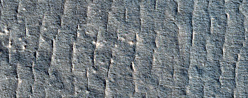 Scalloped Ejecta Margin