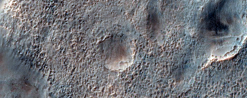 Cluster of Large Secondaries