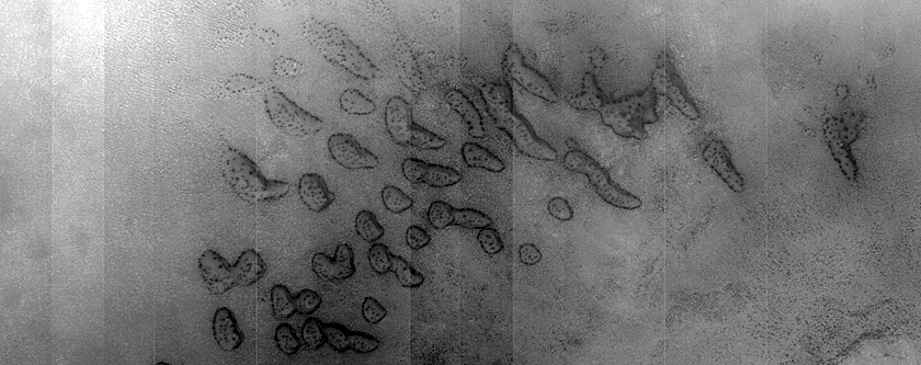 Dune Monitoring in Crater