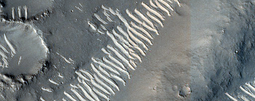 Lobate Structure in Isidis Planitia
