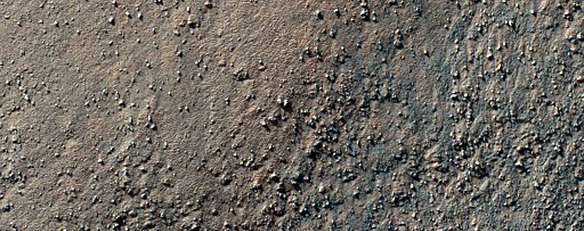 High-Latitude Gullies