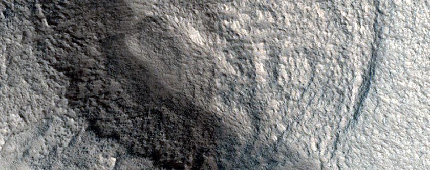 Terrain Sample