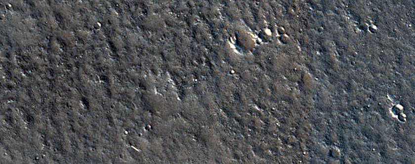 Terrain Sample
