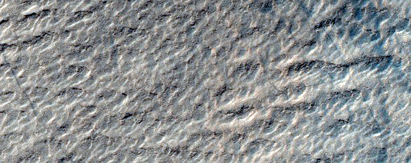 Looking for Gullies