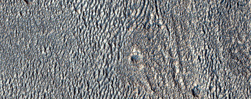 Terrain Sample