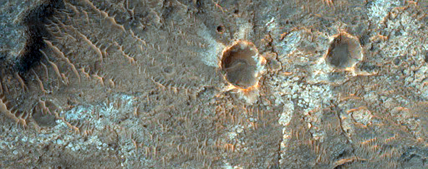 Possible Chloride-Rich Terrain