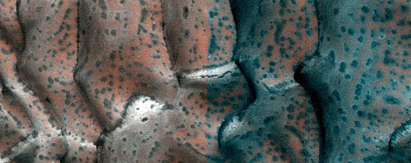 Dune Monitoring in Crater