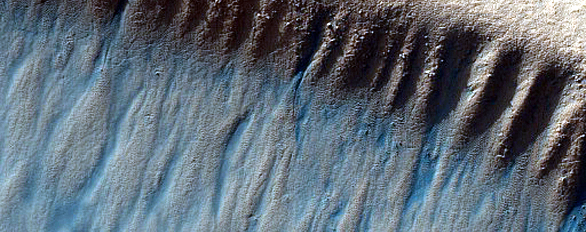 Gully Monitoring