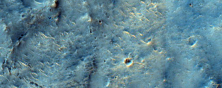 Terrain Sample