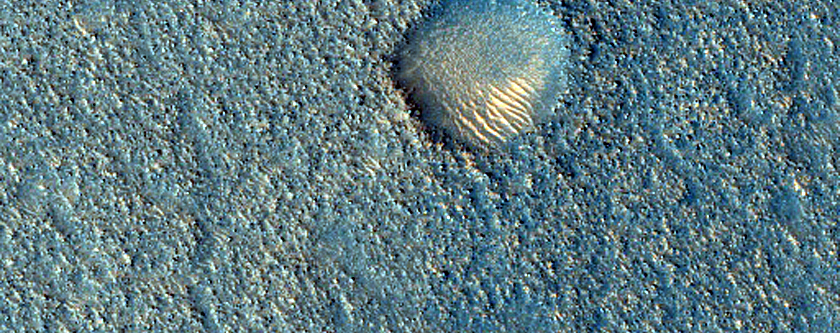 Albedo Monitoring in Arcadia Planitia