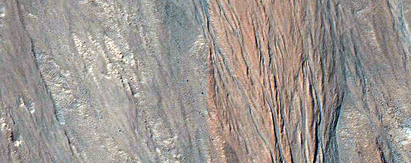 Gullies on Southern Wall of Ross Crater