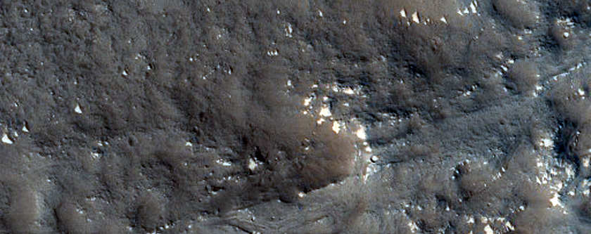 Terrain Sample