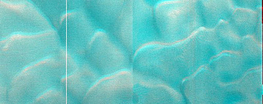 Dune Monitoring