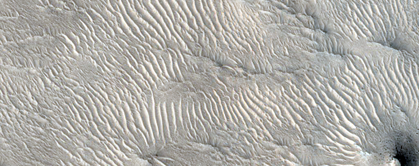 Ridges in  Northeast Nili Fossae