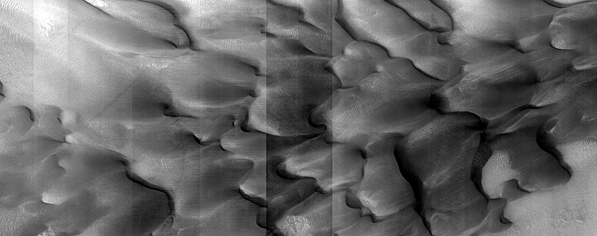 Dune Monitoring in Lyot Crater