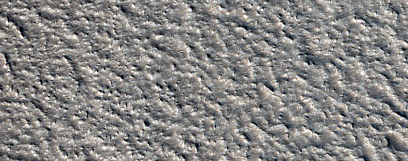 Fractures on the Edge of Alba Mons