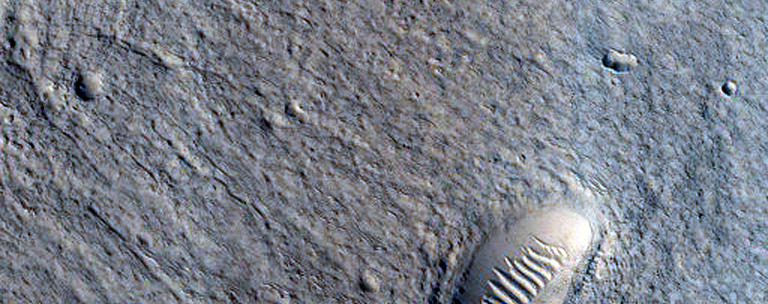 Crater with Hollows in Isidis Planitia
