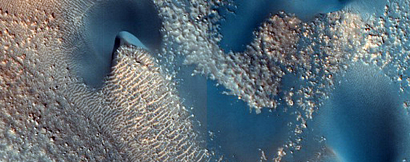 A Diversity of Dunes in Renaudot Crater