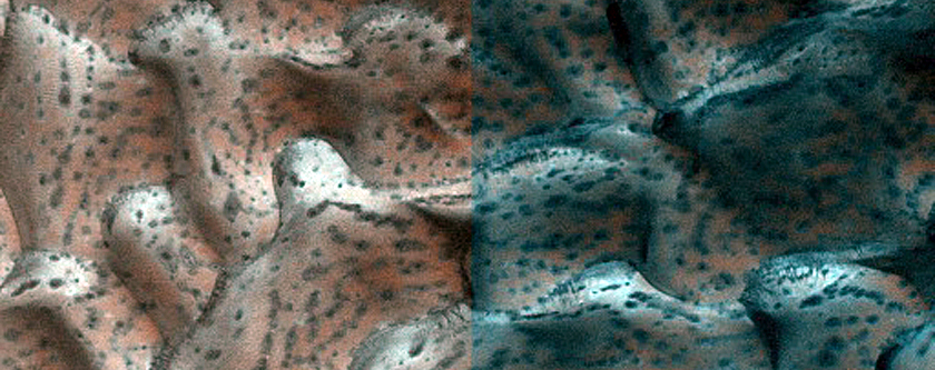 Dune Monitoring in Crater
