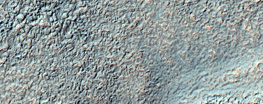 Channel Network in Warrego Valles