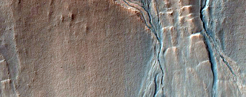 Gully Monitoring