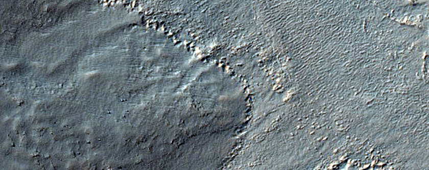 Gullies in Southern Mid-Latitude Crater