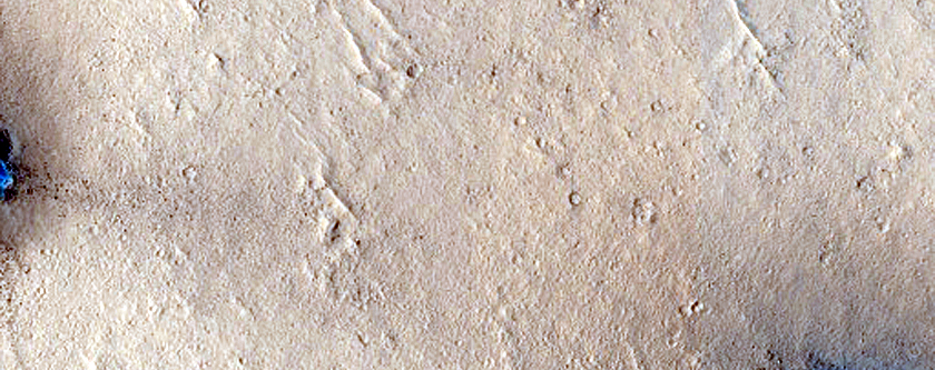 Flow Contact in Elysium Planitia