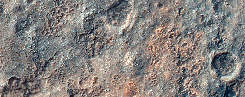 Monitoring Dust Devil Tracks