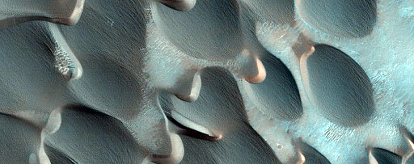 Dunes on Floor of Hargraves Crater