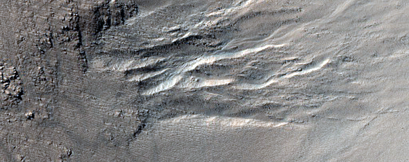 Gully Monitoring