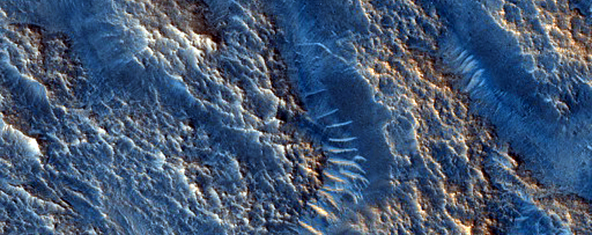 Olivine-Rich Western Ejecta of Sefadu Crater