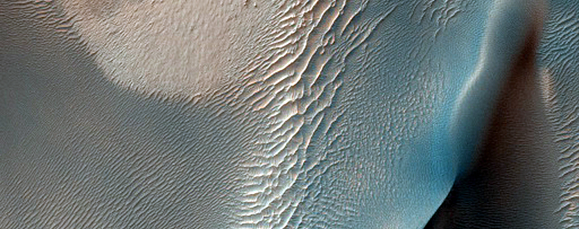 USGS Dune Database Entry Number 3085-489