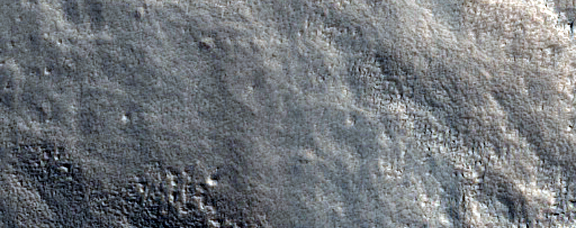 Terrain Sample